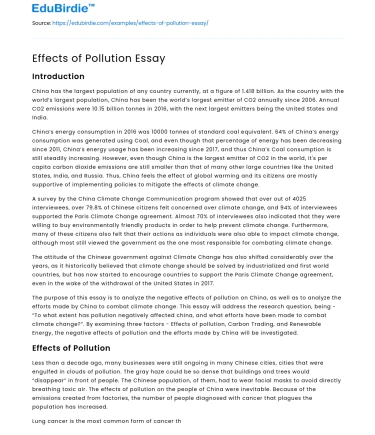 Effects of Pollution Essay