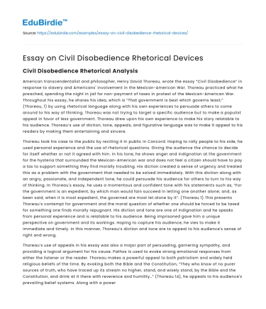 Essay on Civil Disobedience Rhetorical Devices