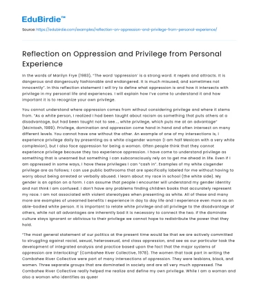 Reflection on Oppression and Privilege from Personal Experience