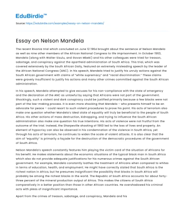Essay on Nelson Mandela