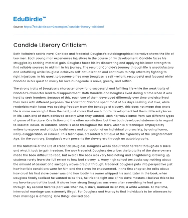 Candide Literary Criticism