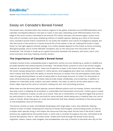 Essay on Canada’s Boreal Forest