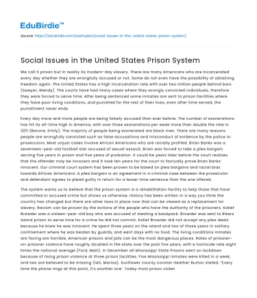 Social Issues in the United States Prison System