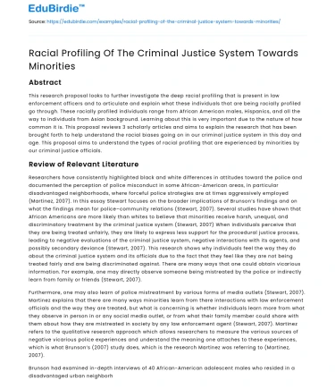 Racial Profiling Of The Criminal Justice System Towards Minorities