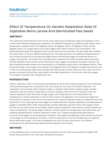 Temperature’s Effect on Respiration of Zophobas Morio and Pea Seeds