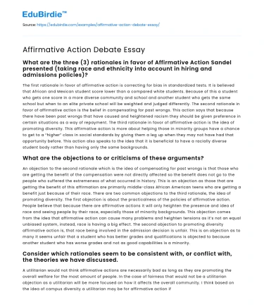Affirmative Action Debate Essay
