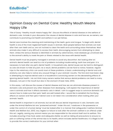 Opinion Essay on Dental Care: Healthy Mouth Means Happy Life