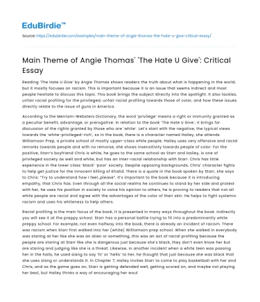 Main Theme of Angie Thomas’ ‘The Hate U Give’: Critical Essay