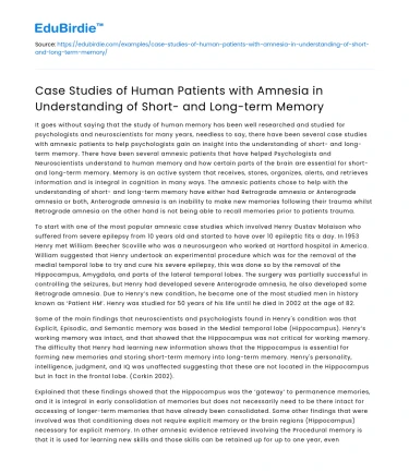 Human Amnesia Case Studies: Memory Insights