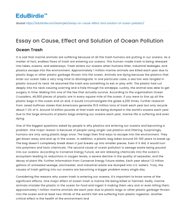 Essay on Cause, Effect and Solution of Ocean Pollution