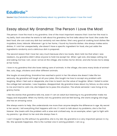 Essay about My Grandma: The Person I Love the Most