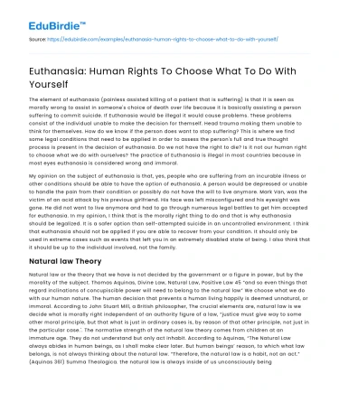 Euthanasia: Human Rights To Choose What To Do With Yourself