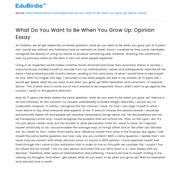 What Do You Want to Be When You Grow Up: Opinion Essay