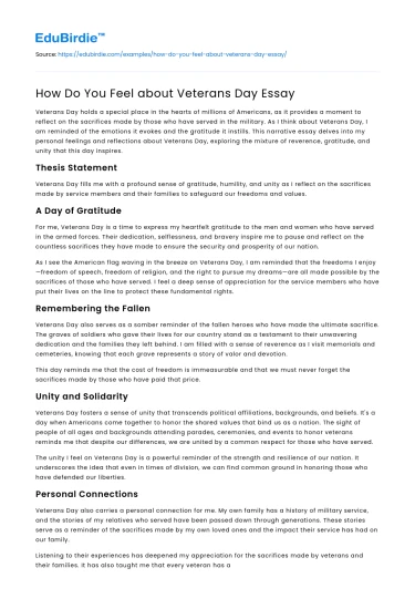 How Do You Feel about Veterans Day Essay