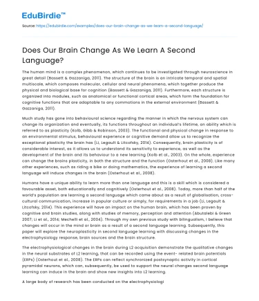 Does Our Brain Change As We Learn A Second Language?