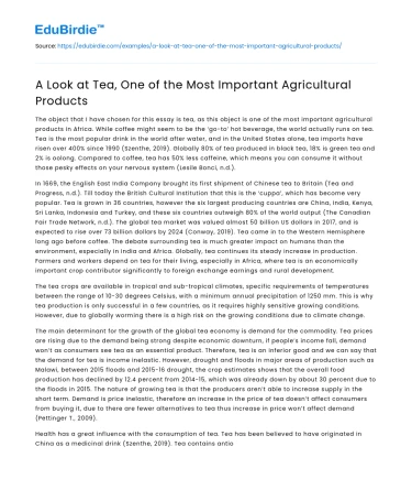 A Look at Tea, One of the Most Important Agricultural Products