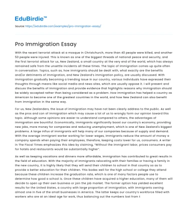 Pro Immigration Essay