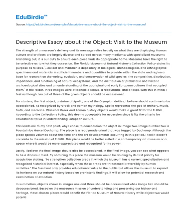Descriptive Essay about the Object: Visit to the Museum