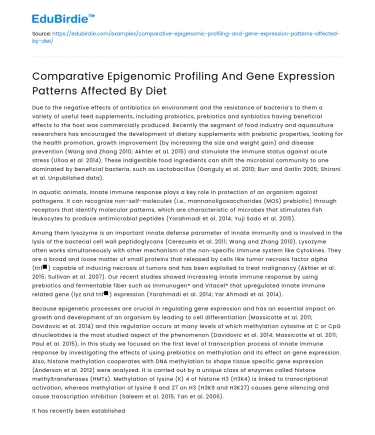 Diet’s Impact on Epigenomics and Gene Expression