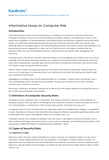 Informative Essay on Computer Risk