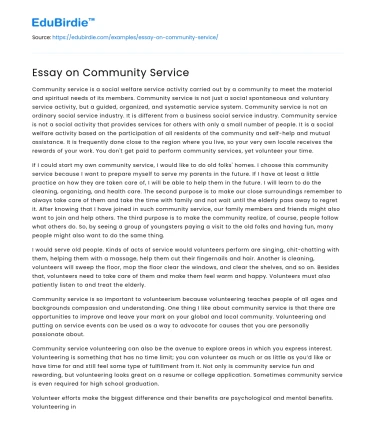 Essay on Community Service