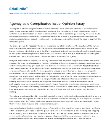 Agency as a Complicated Issue: Opinion Essay