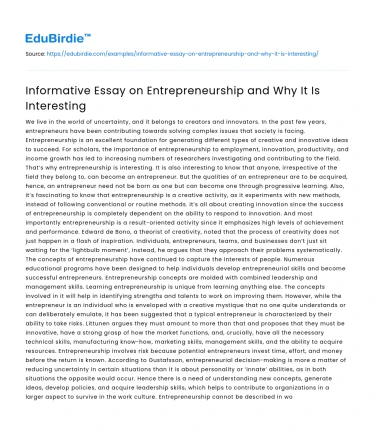 Informative Essay on Entrepreneurship and Why It Is Interesting