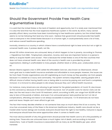 Should the Government Provide Free Health Care: Argumentative Essay