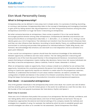 Elon Musk Personality Essay