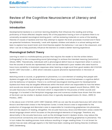 Review of the Cognitive Neuroscience of Literacy and Dyslexia