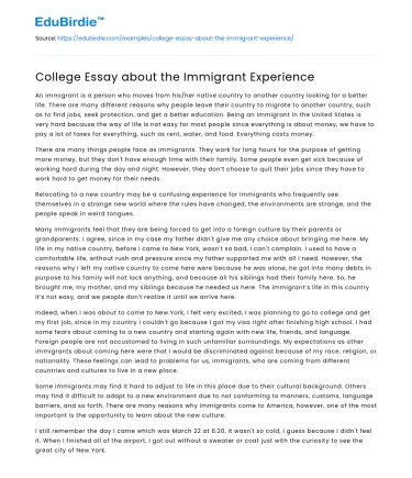 College Essay about the Immigrant Experience