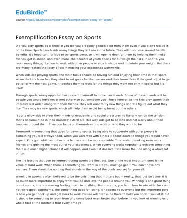 Exemplification Essay on Sports