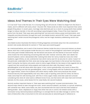 Ideas And Themes In Their Eyes Were Watching God