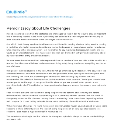 Memoir Essay about Life Challenges