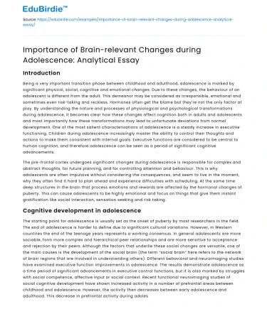 Importance of Brain-relevant Changes during Adolescence