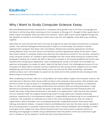 Why I Want to Study Computer Science: Essay