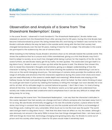 Observation and Analysis of a Scene from ‘The Shawshank Redemption’
