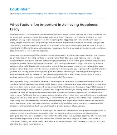 What Factors Are Important in Achieving Happiness: Essay