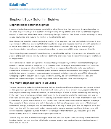 Elephant Back Safari In Sigiriya