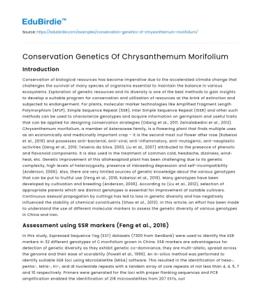 Conservation Genetics Of Chrysanthemum Morifolium