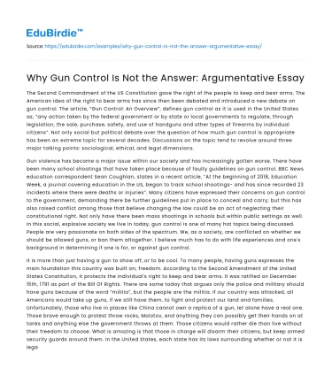 Why Gun Control Is Not the Answer: Argumentative Essay