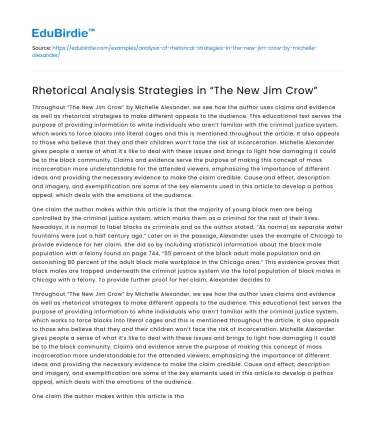Rhetorical Analysis Strategies in “The New Jim Crow”