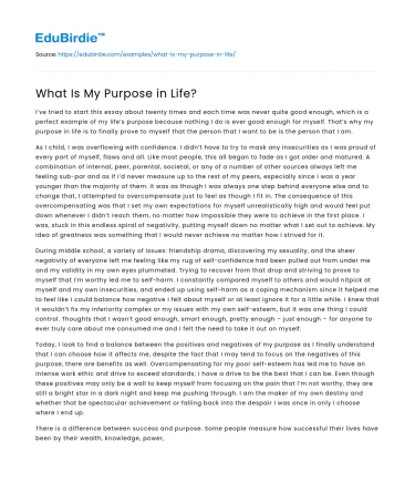 What Is My Purpose in Life?