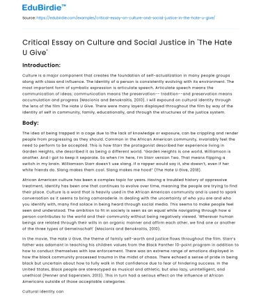 Critical Essay on Culture and Social Justice in ‘The Hate U Give’