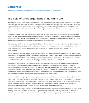The Role of Microorganisms In Humans Life