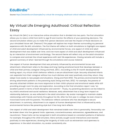 My Virtual Life Emerging Adulthood: Critical Reflection Essay