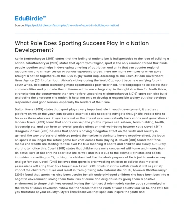 What Role Does Sporting Success Play in a Nation Development?