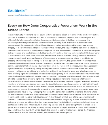 Essay on How Does Cooperative Federalism Work in the United States