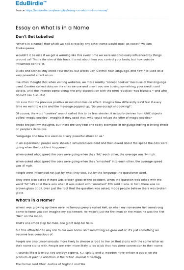 Essay on What Is in a Name