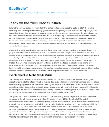 Essay on the 2008 Credit Crunch